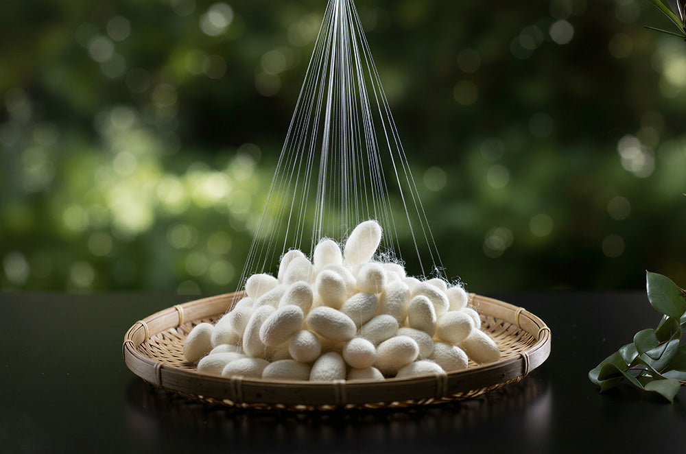 CLASSEMENT DES FILAMENTS – SÉLECTION 6A FILAMENT LONG