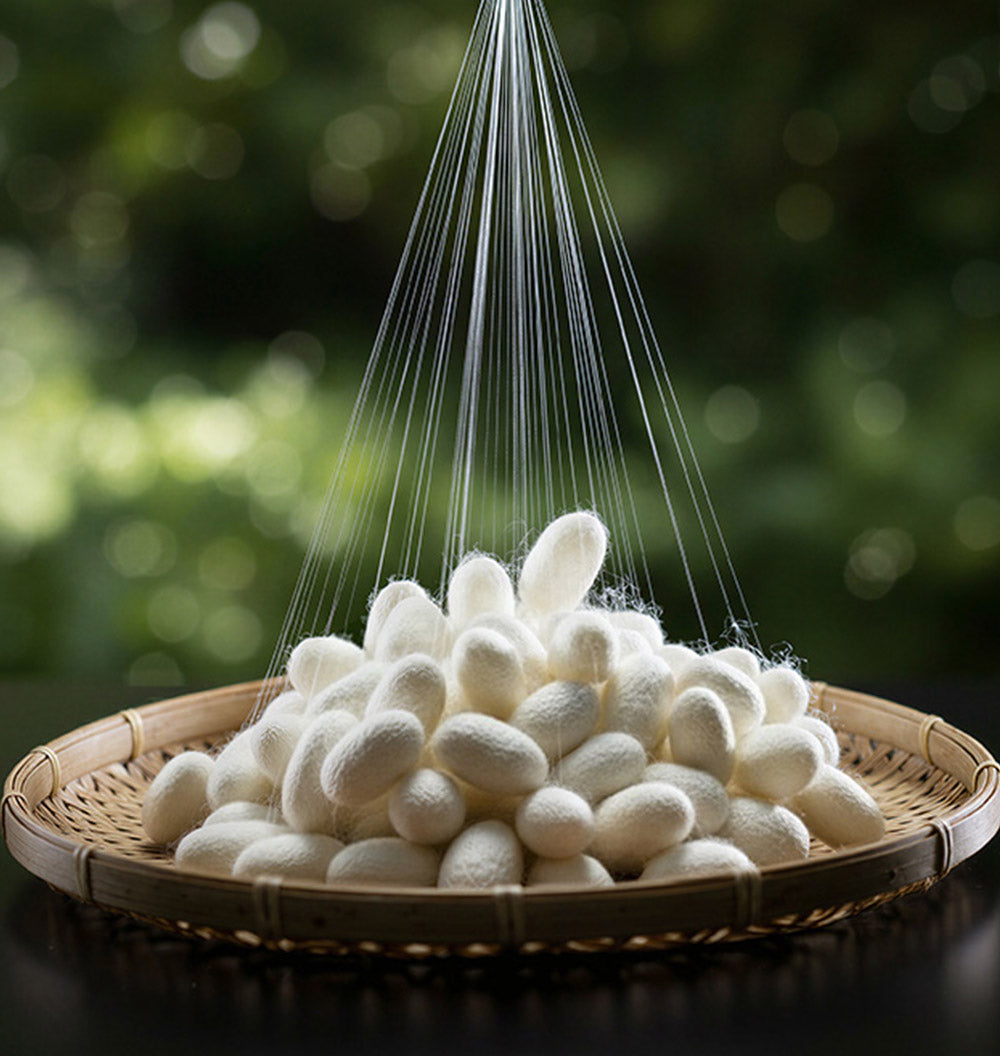 CLASSEMENT DES FILAMENTS – SÉLECTION 6A FILAMENT LONG