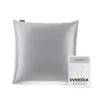 Taie d'oreiller 100% pure soie de mûrier - Gris Perle - Euro - EVERSILK.fr